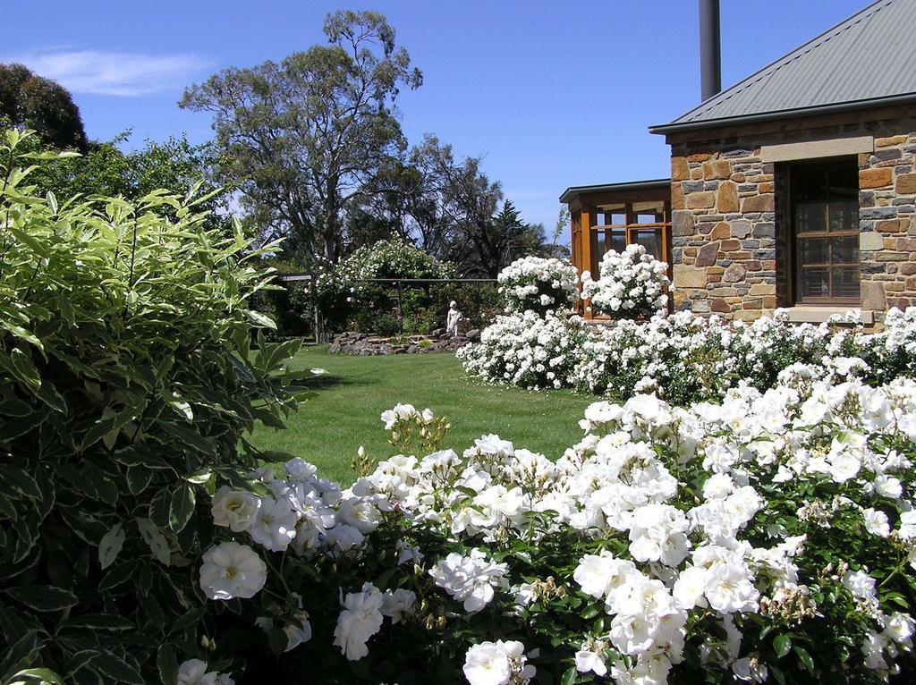 סוואנסי Wagners Cottages מראה חיצוני תמונה