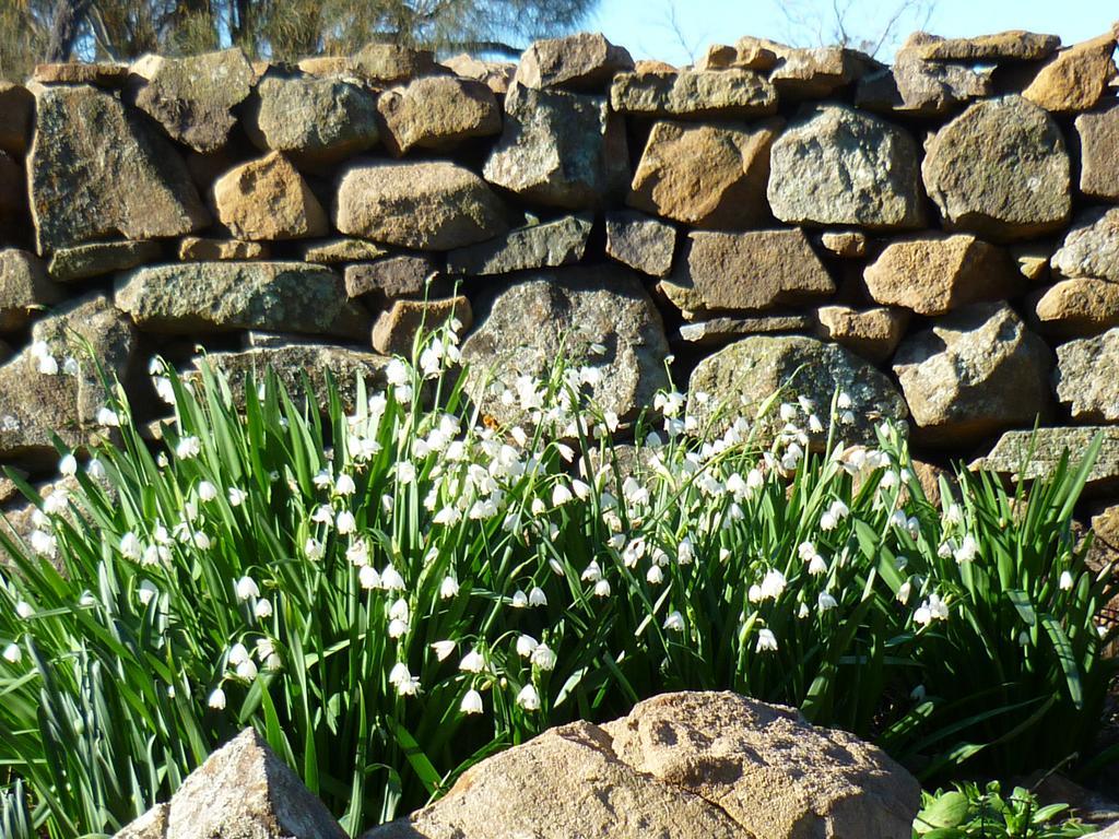 סוואנסי Wagners Cottages מראה חיצוני תמונה