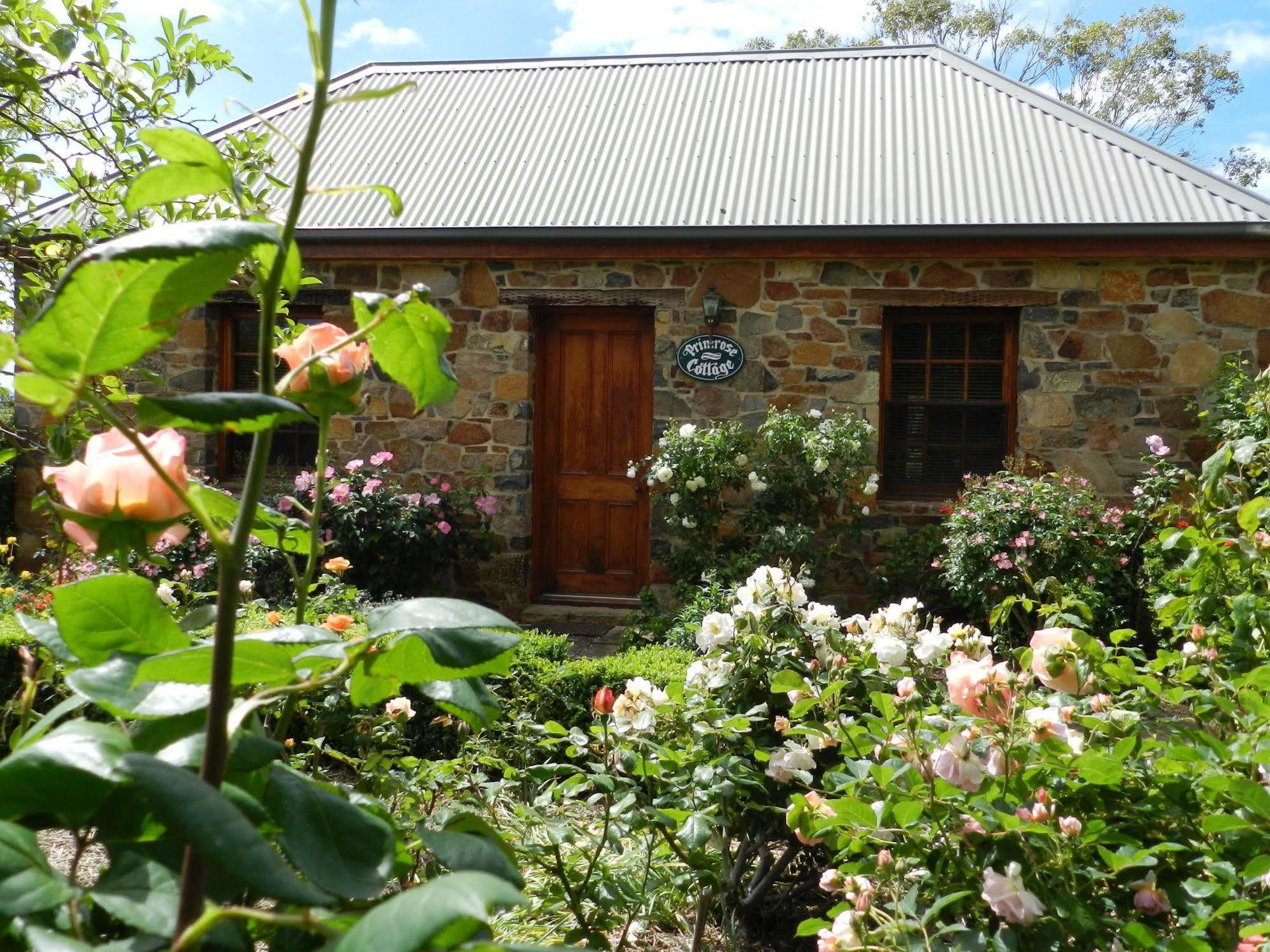 סוואנסי Wagners Cottages מראה חיצוני תמונה