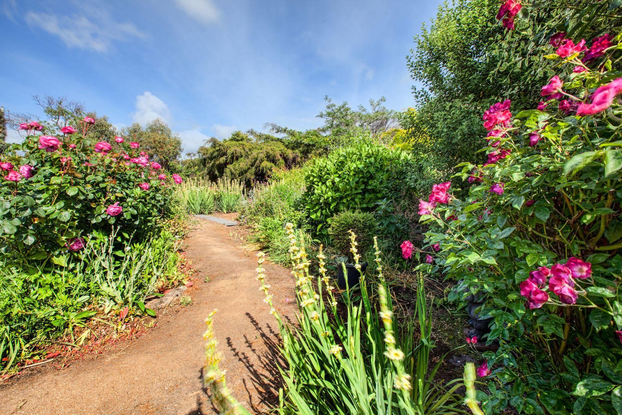 סוואנסי Wagners Cottages מראה חיצוני תמונה